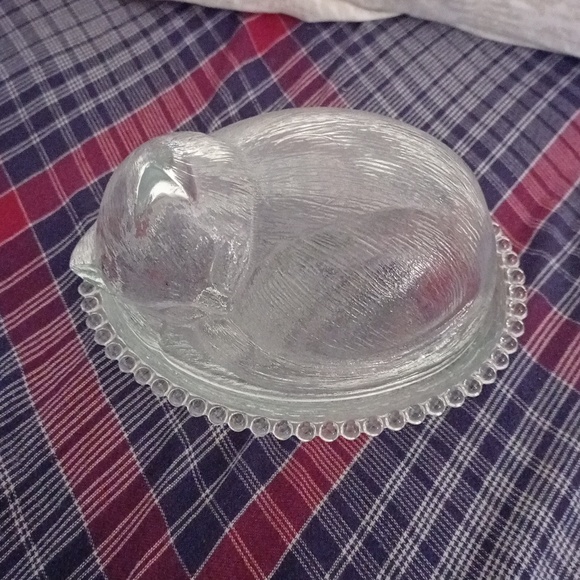 Pet glass dish bowl - Picture 2 of 11